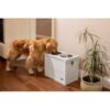 Southwick Elevated Dog Bowl Diner with Storage